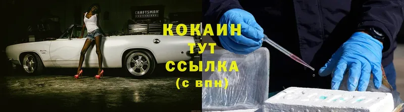 Cocaine Fish Scale  где купить наркоту  кракен ссылки  Туринск 