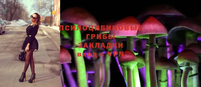 как найти   Туринск  Псилоцибиновые грибы Magic Shrooms 